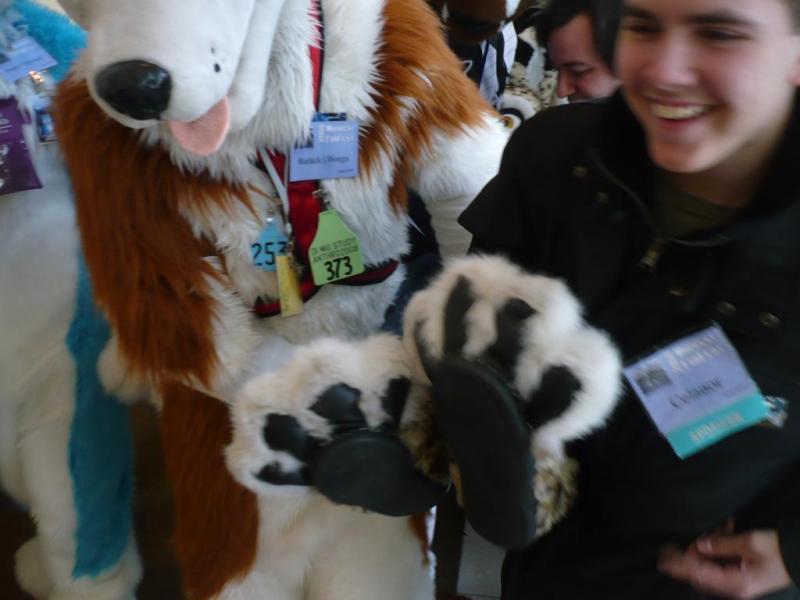 P2730076.jpg P2730076.jpg