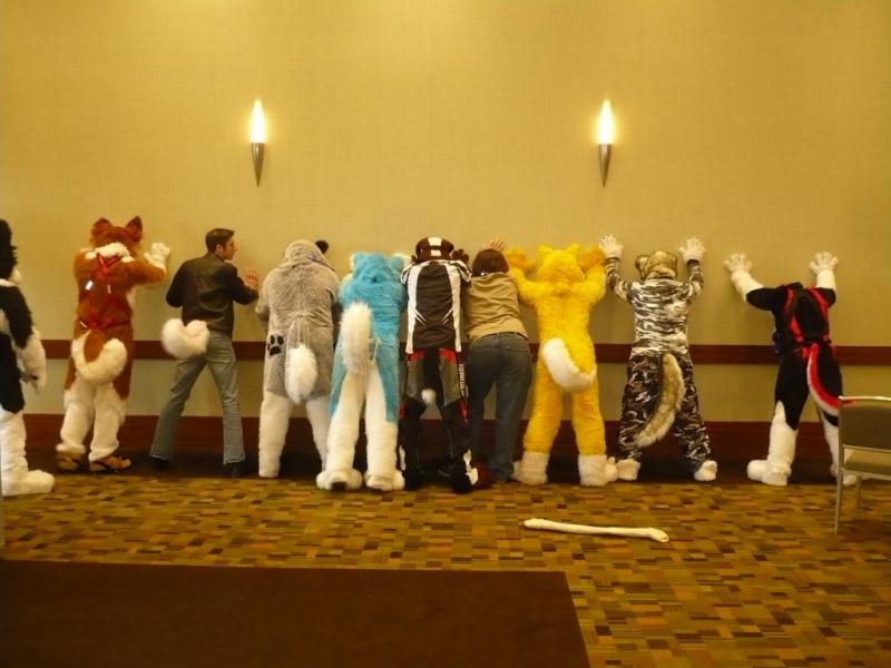 P2730081.jpg P2730081.jpg