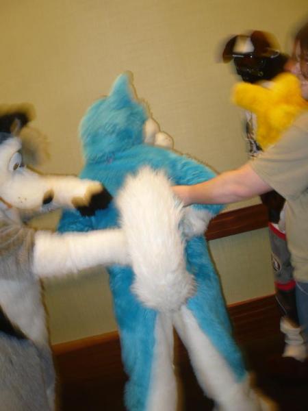 P2730087.jpg P2730087.jpg