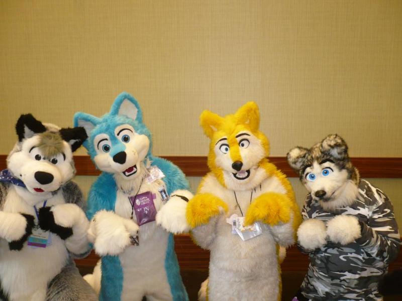 P2730092.jpg P2730092.jpg