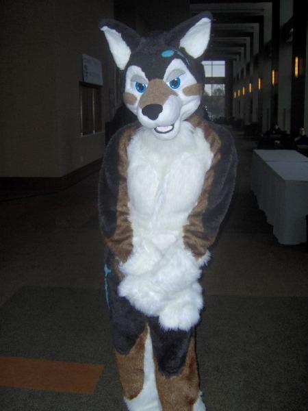 mff08_06.jpg mff08_06.jpg