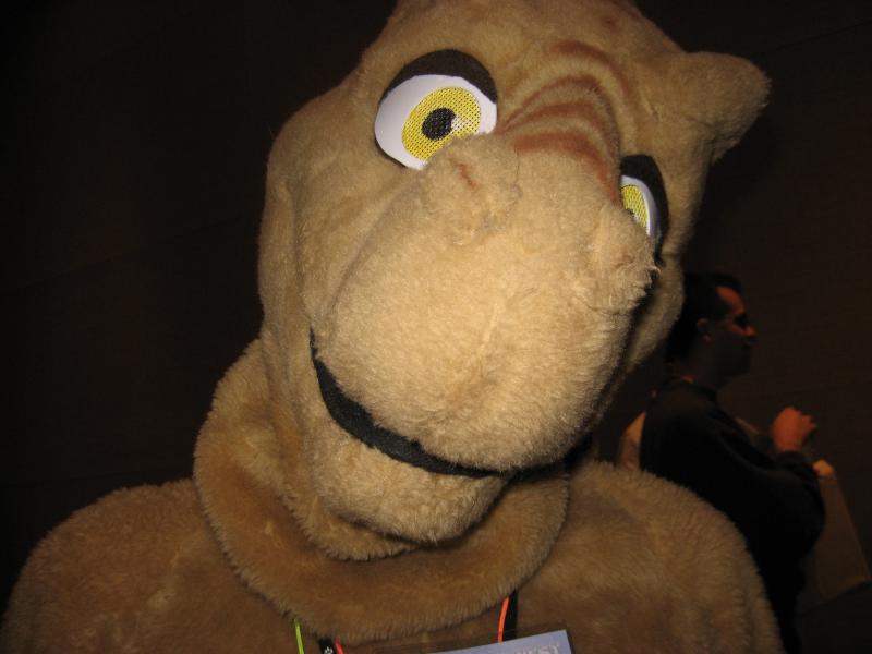 head08.jpg head08.jpg