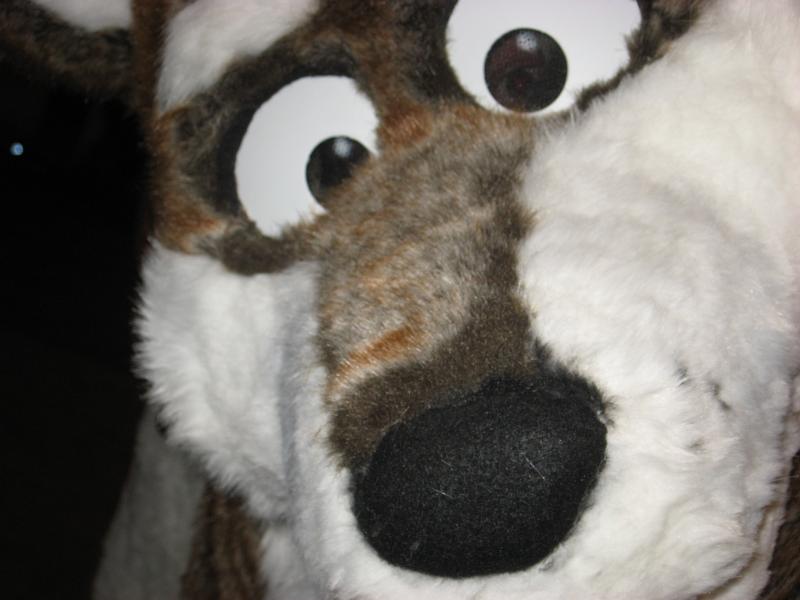 head09.jpg head09.jpg