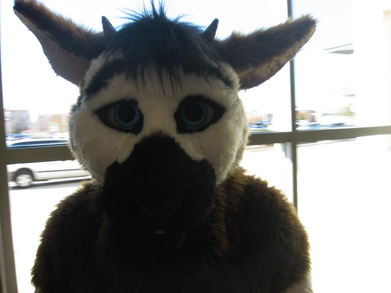 head19.jpg head19.jpg