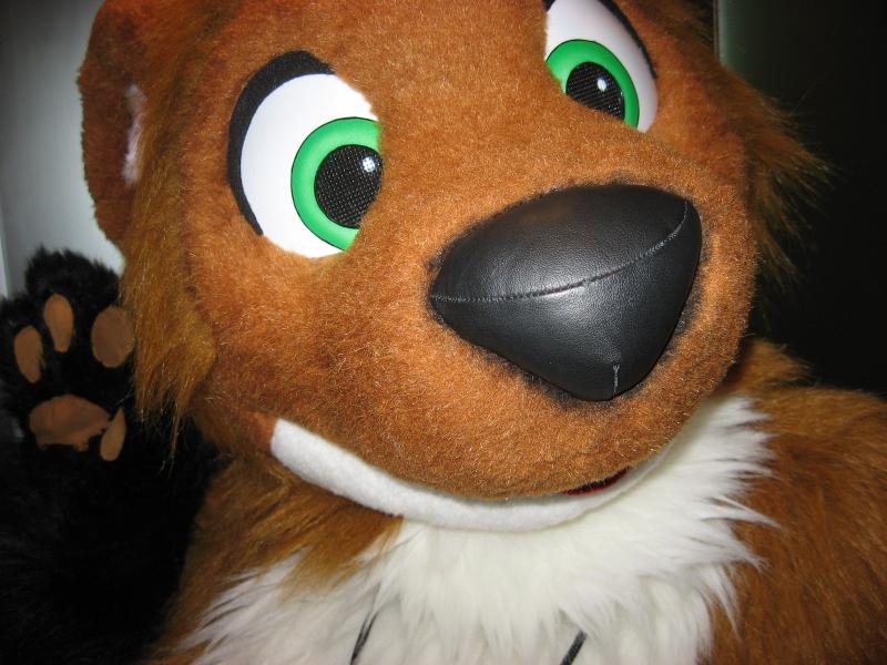 head21.jpg head21.jpg