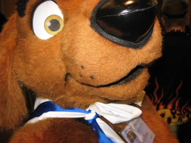 head29-docker.jpg head29-docker.jpg