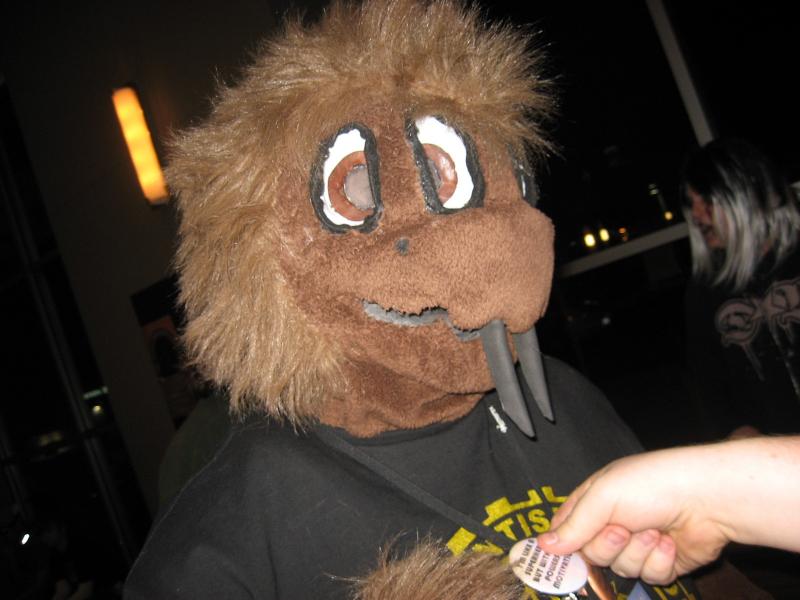 head31.jpg head31.jpg