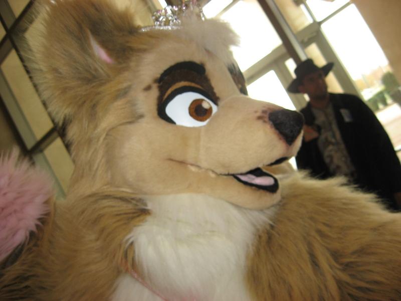 head34.jpg head34.jpg