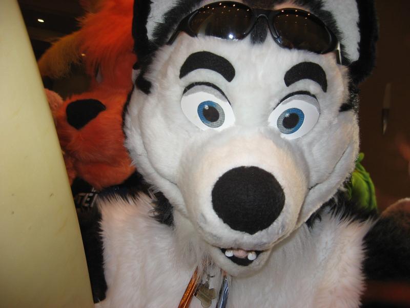 head40.jpg head40.jpg