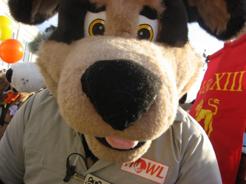 head43-perro.jpg head43-perro.jpg