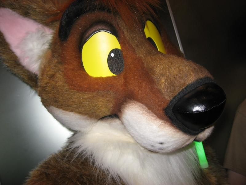 head46.jpg head46.jpg