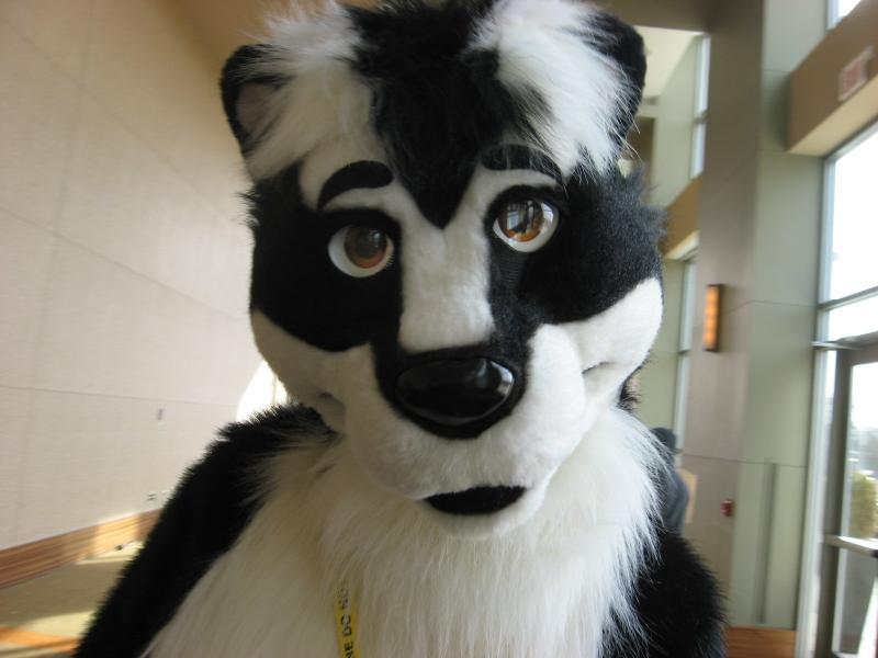 head48.jpg head48.jpg