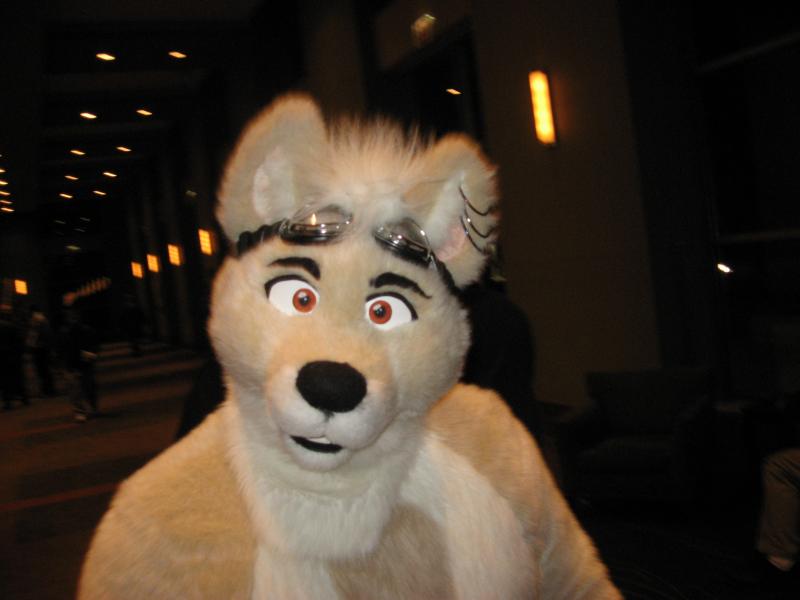 suiter02.jpg suiter02.jpg