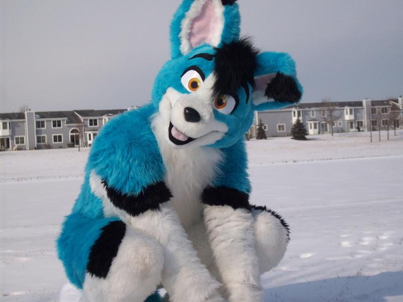 North-01.jpg North-01.jpg