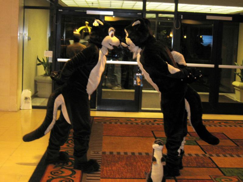 Otters03.jpg Otters03.jpg