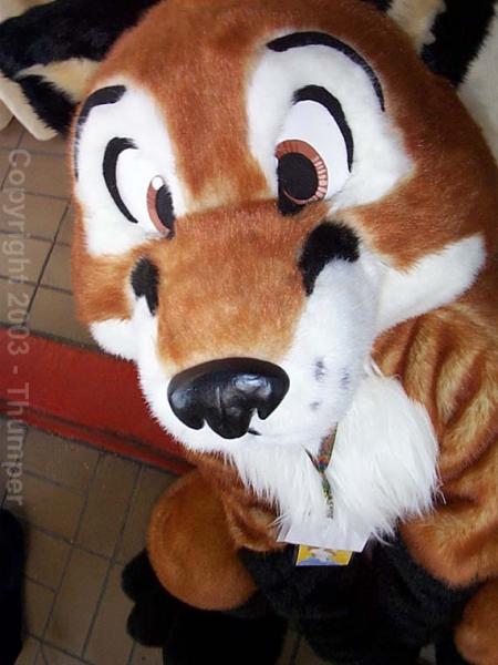 PockitFox.jpg PockitFox.jpg