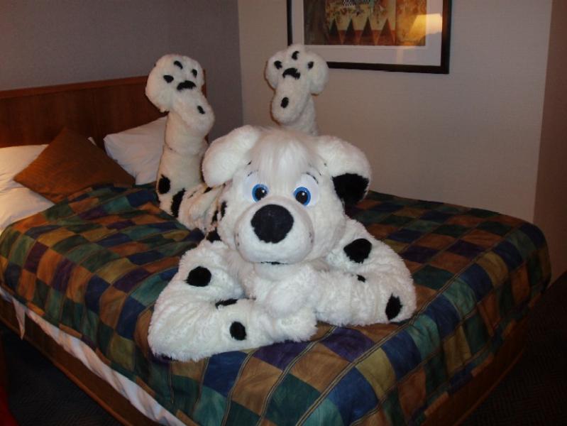 Pup-01.jpg Pup-01.jpg