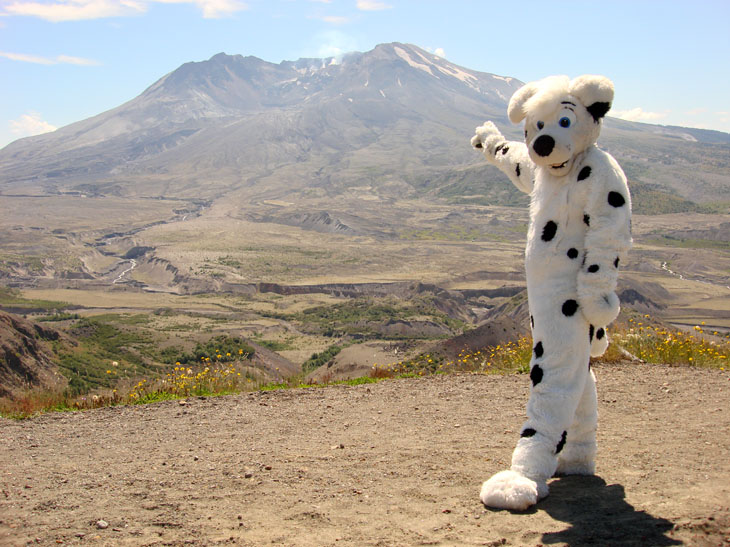 Pup-03.jpg Pup-03.jpg