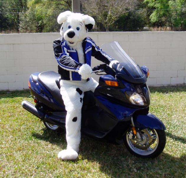 PupBike.jpg PupBike.jpg