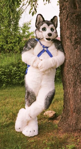 Shortwave-TonyBBQ08.jpg Shortwave-TonyBBQ08.jpg