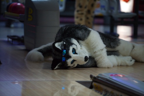 Shortwave-picture-6.jpg Shortwave-picture-6.jpg