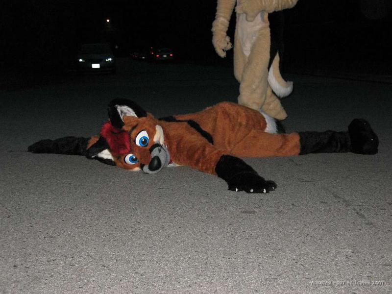 Sparkfox02.jpg Sparkfox02.jpg