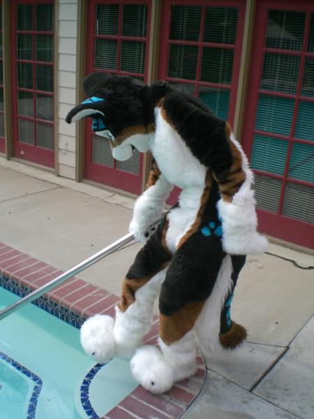 Stathgar_pool.jpg Stathgar_pool.jpg