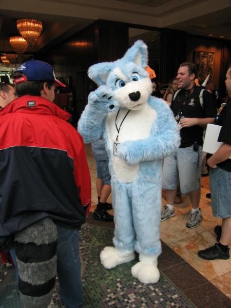 TabberPaw-1.jpg TabberPaw-1.jpg