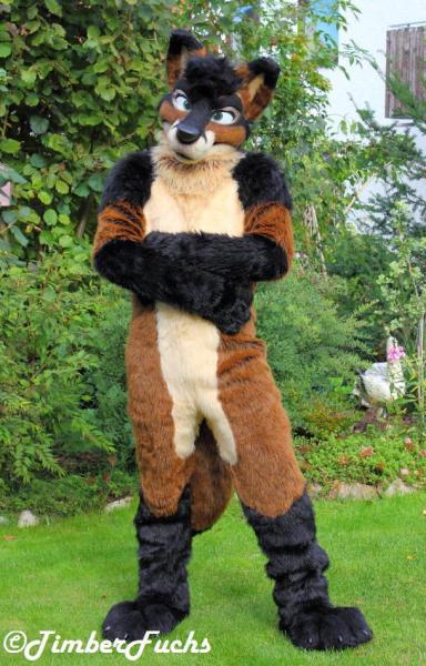 TimberFuchs-01.JPG