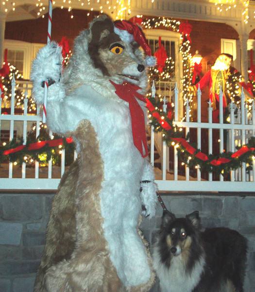 COLLIE.jpg COLLIE.jpg