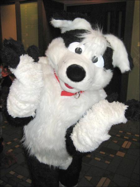 Frysco_MFF2007_006_disp800.jpg Frysco_MFF2007_006_disp800.jpg