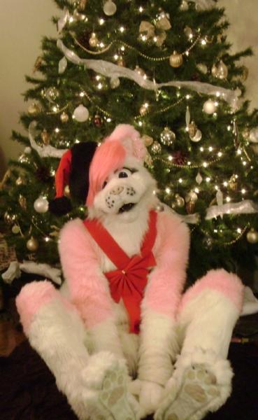 KoinuKun.jpg KoinuKun.jpg