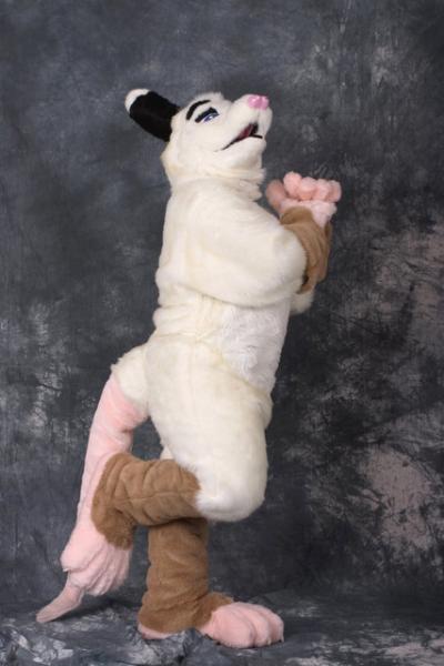 OwenOPossum992.jpg OwenOPossum992.jpg