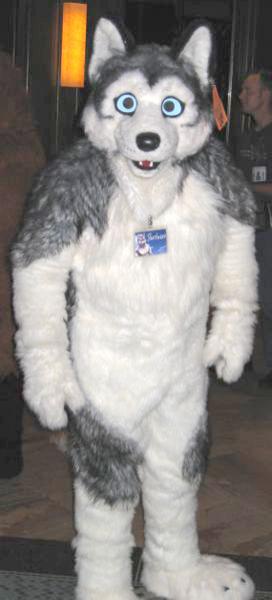 Shortwave_Husky.jpg Shortwave_Husky.jpg