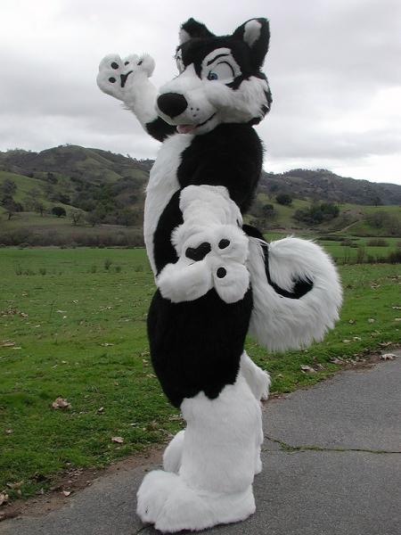 alpine.jpg alpine.jpg