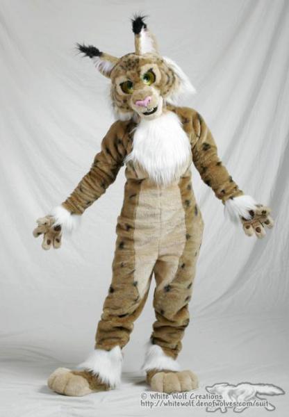 cassysuit-stand.jpg cassysuit-stand.jpg