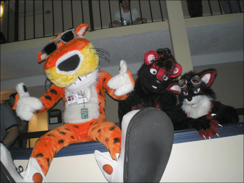 chester.jpg chester.jpg