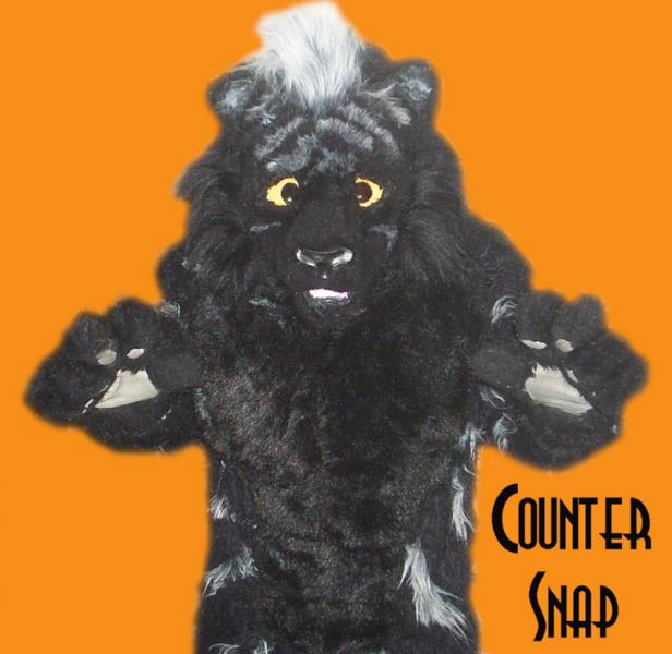 countersnap.jpg countersnap.jpg