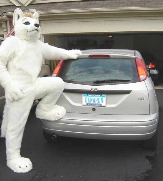 damaron_fursuit_110.jpg damaron_fursuit_110.jpg