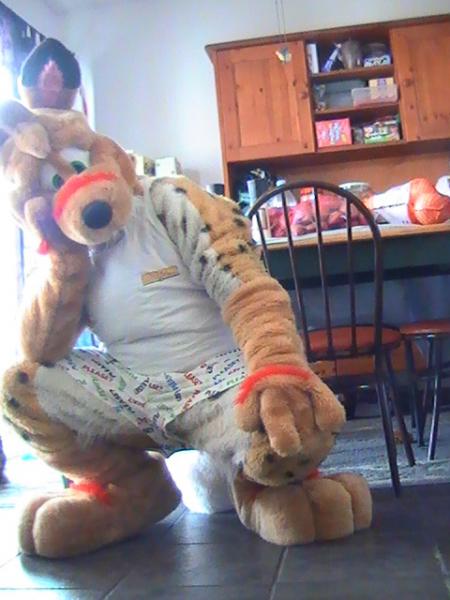 dingoroo.jpg dingoroo.jpg