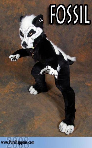 fossilsabertooth.jpg fossilsabertooth.jpg