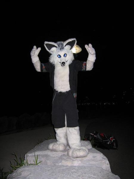 jazzwolf.jpg jazzwolf.jpg