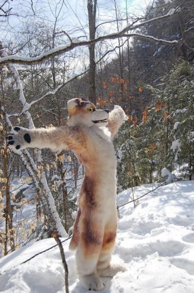 kiowolf.jpg kiowolf.jpg