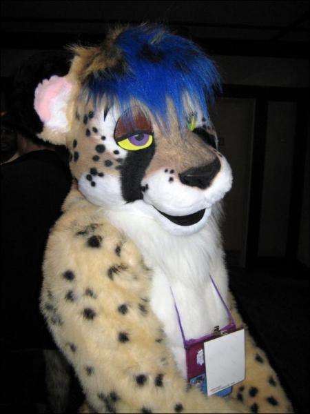 kivcheetah.jpg kivcheetah.jpg