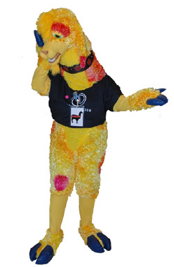 ljplex-small.jpg ljplex-small.jpg