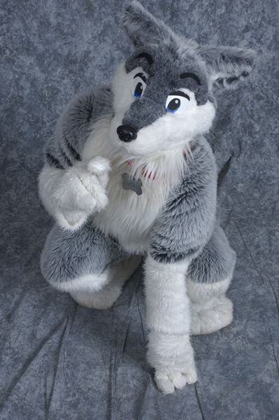 luckywolf_ffff.jpg luckywolf_ffff.jpg