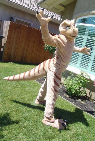 raptor.jpg raptor.jpg