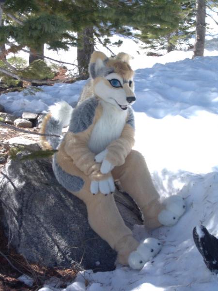 silver.jpg silver.jpg