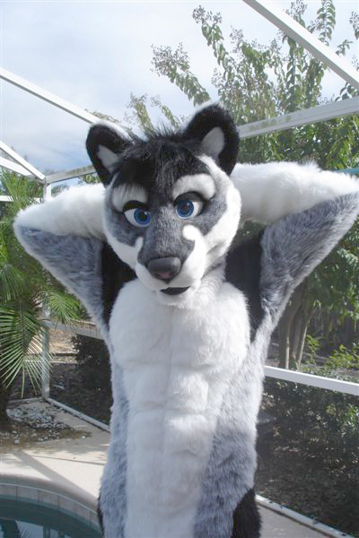 vincent.jpg vincent.jpg