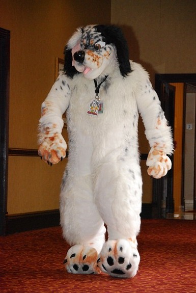 Admiral.jpg Admiral.jpg